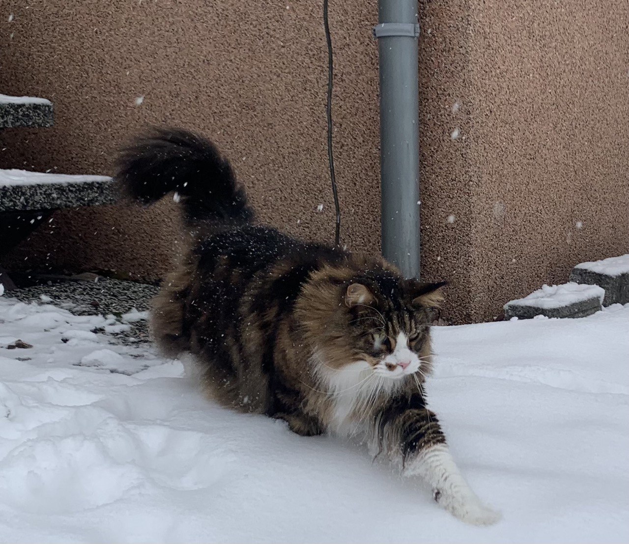 Huch,ist das kalt Huch,ist das kalt