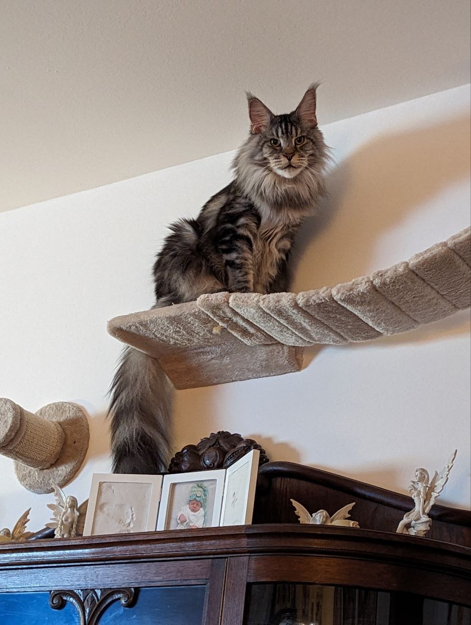 Ich stehe unter Beobachtung Ich stehe unter Beobachtung