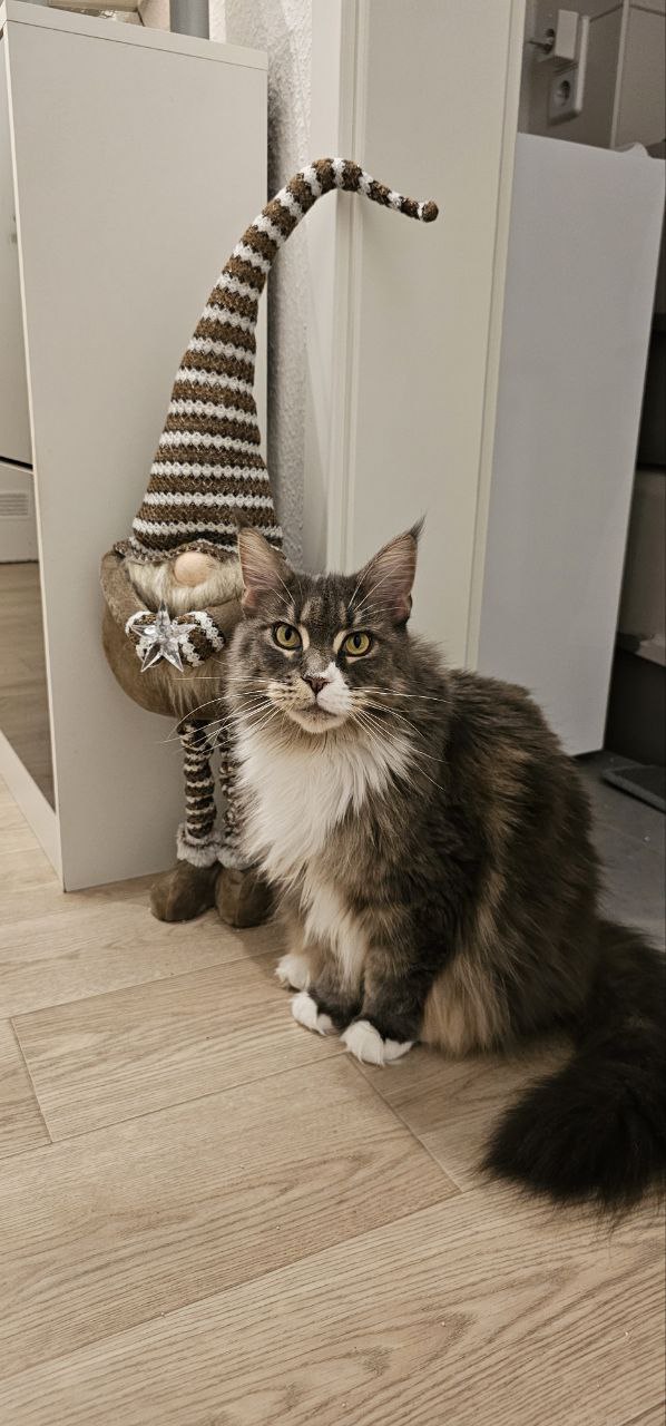 Isas neuer Freund Isas neuer Freund