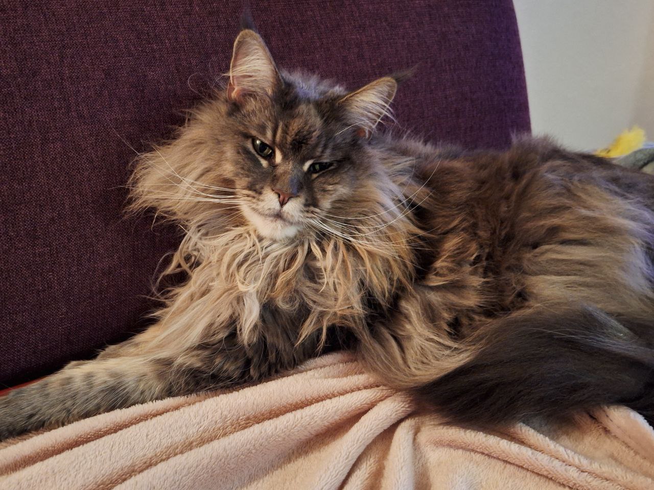 Jada kommt immer näher Jada kommt immer näher