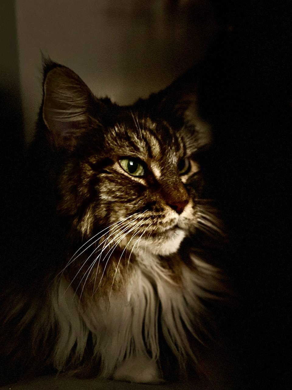 Maika 12 Jahre und 3 Monate alt Maika 12 Jahre und 3 Monate alt