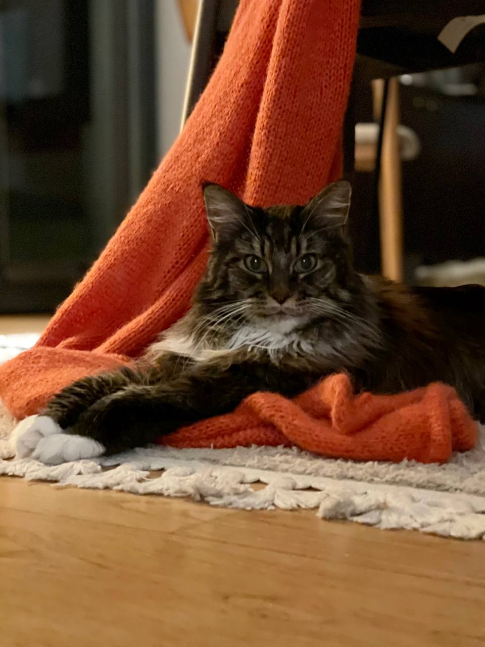 Maika nervt etwas Maika nervt etwas