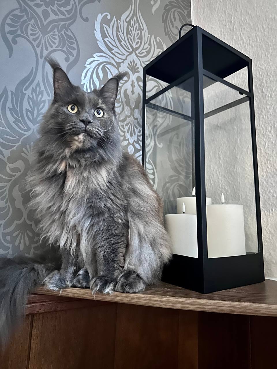 Meine Uschi Meine Uschi