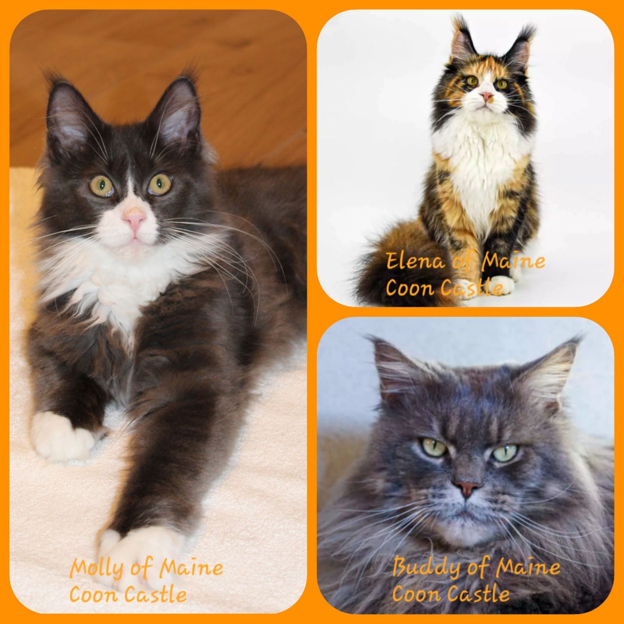 Molly und ihre Eltern Molly und ihre Eltern