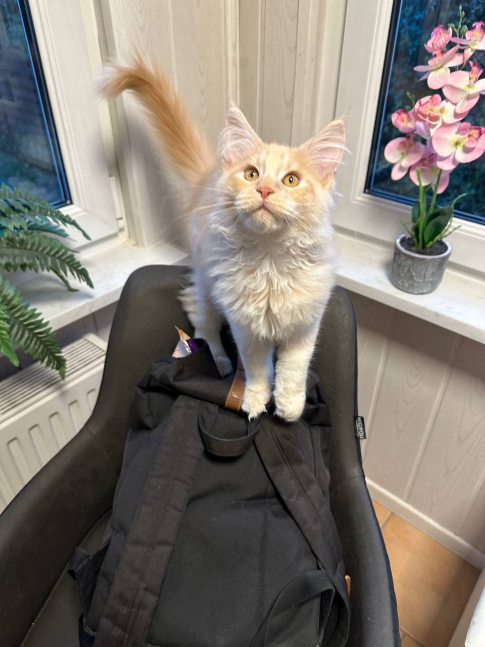 Quiet Fire Quiet Fire