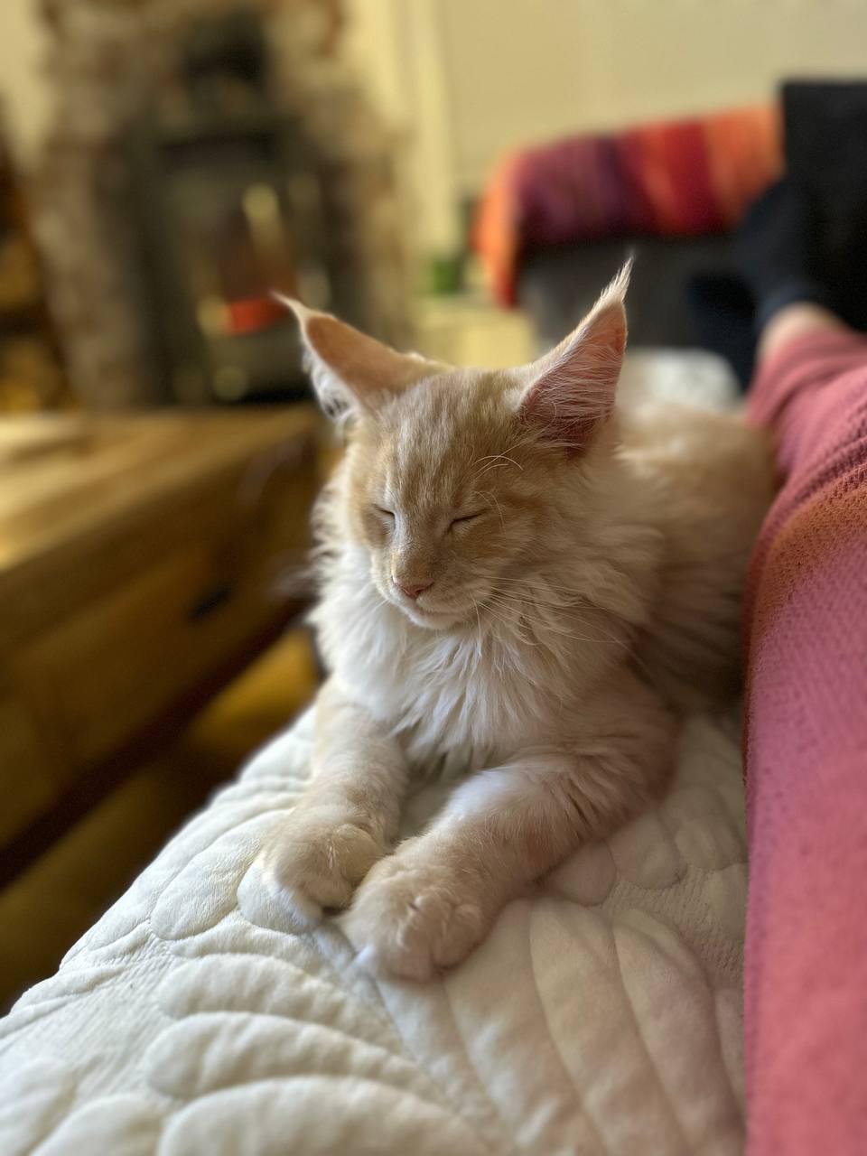 Renaissance Quiet Fire Renaissance Quiet Fire