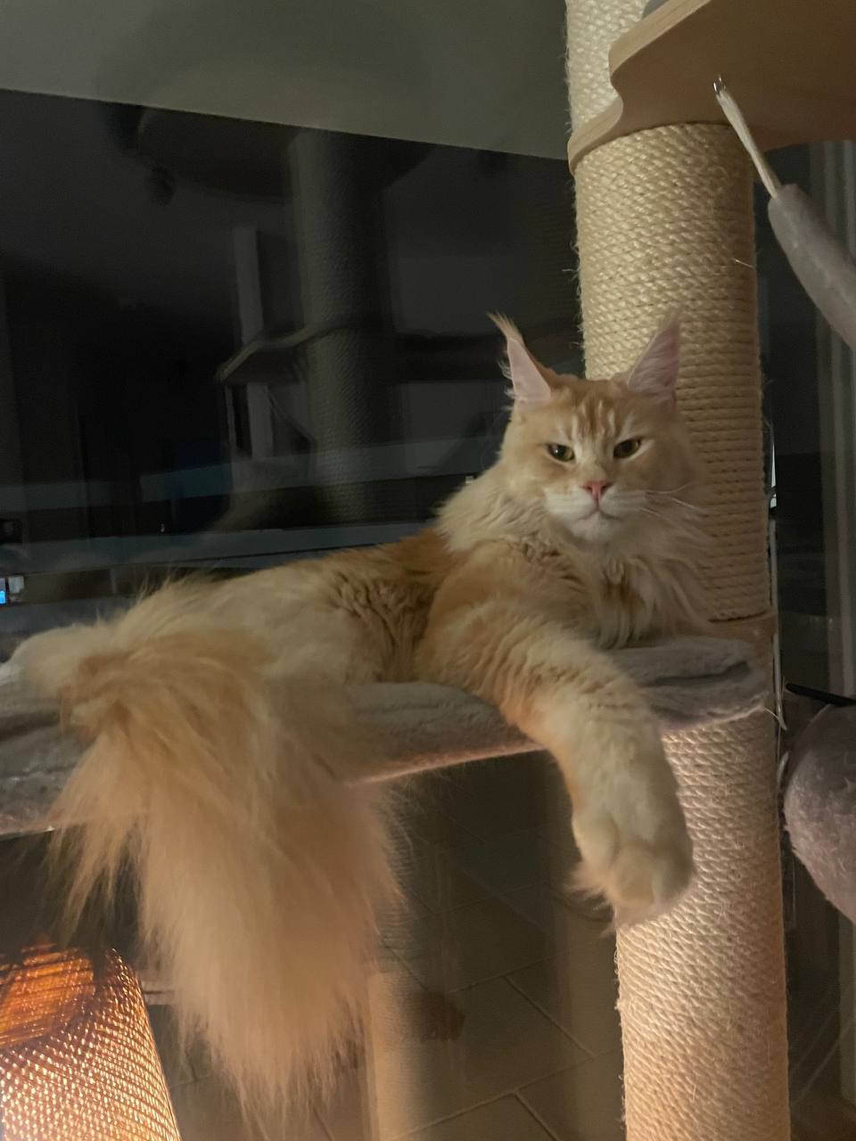 Was soll mir dieser Blick sagen Was soll mir dieser Blick sagen