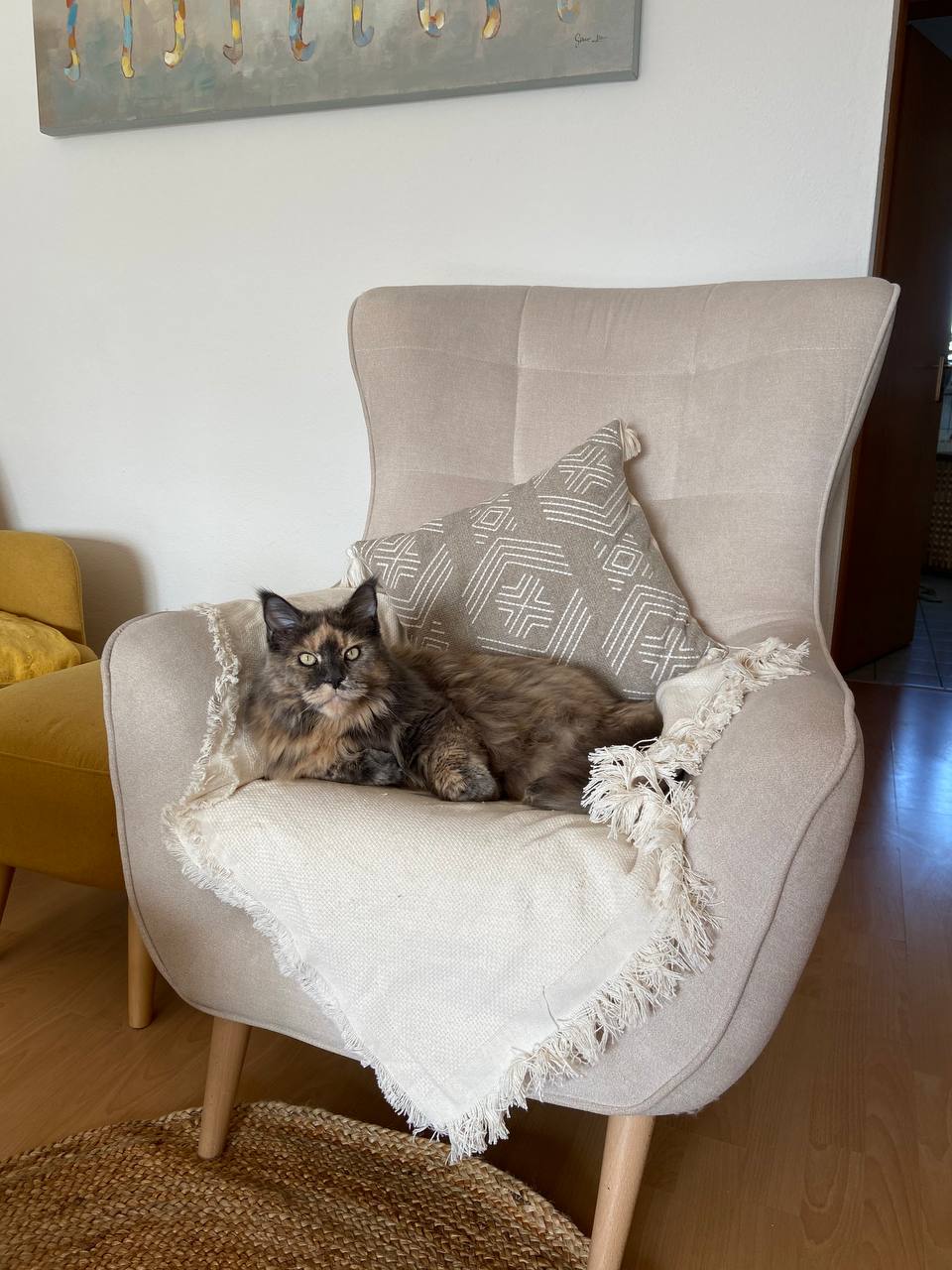 Zoey genießt Zoey genießt