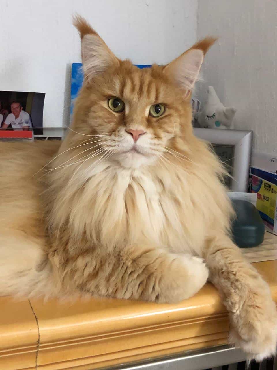 Adam Guten Morgen Adam Guten Morgen