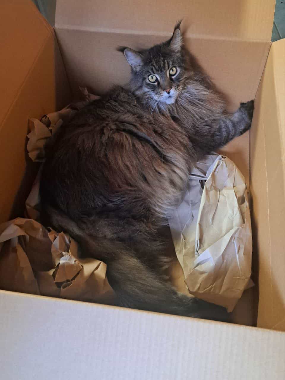 Bin ich nicht ein wunderschönes Geschenk Bin ich nicht ein wunderschönes Geschenk