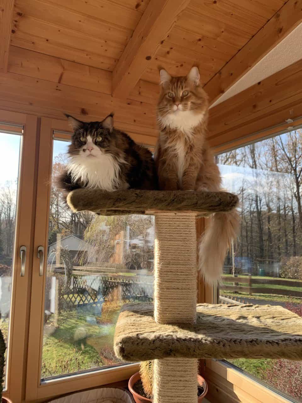 Dean und Eddie auf Beobachtungsposten Dean und Eddie auf Beobachtungsposten