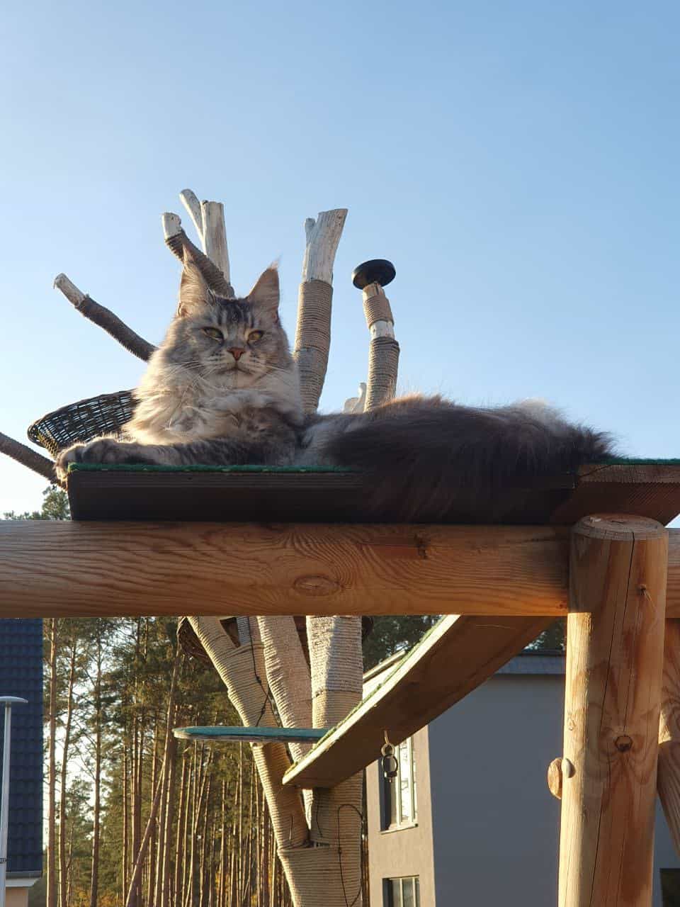 Die letzten Sonnenstrahlen genießen Die letzten Sonnenstrahlen genießen