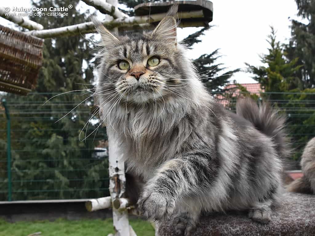 Ebby 2 Jahre und 8 Monate alt Ebby 2 Jahre und 8 Monate alt