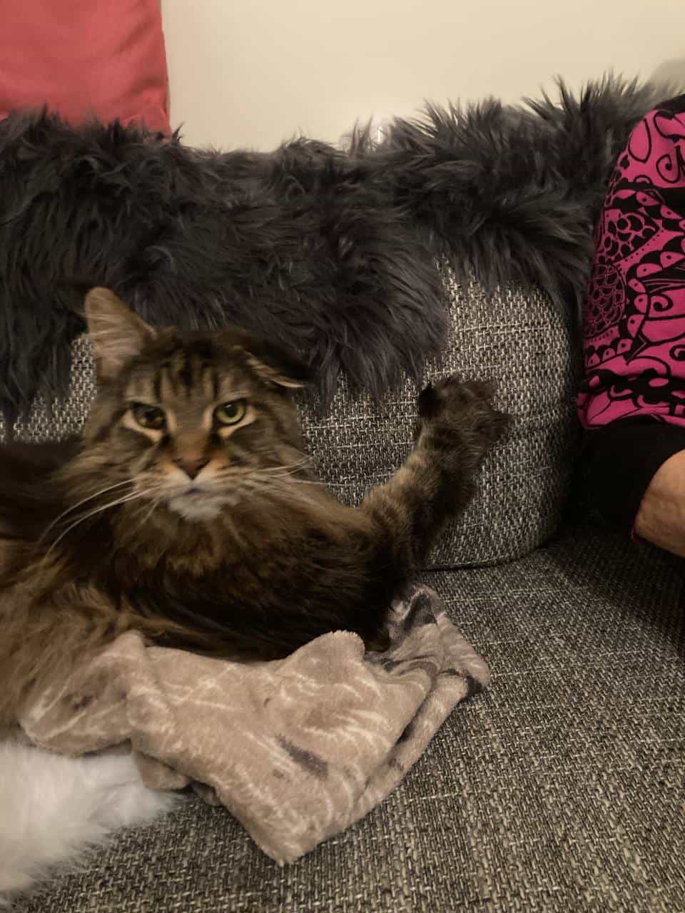 Erwin schaut mit Weihnachtsfilm Erwin schaut mit Weihnachtsfilm