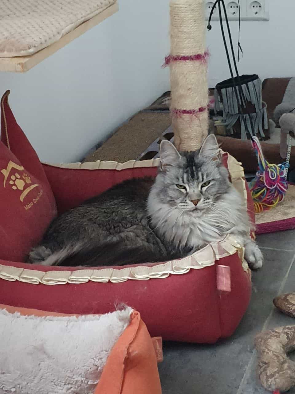 Franny wünscht auch allen ein schönes Wochenende Franny wünscht auch allen ein schönes Wochenende