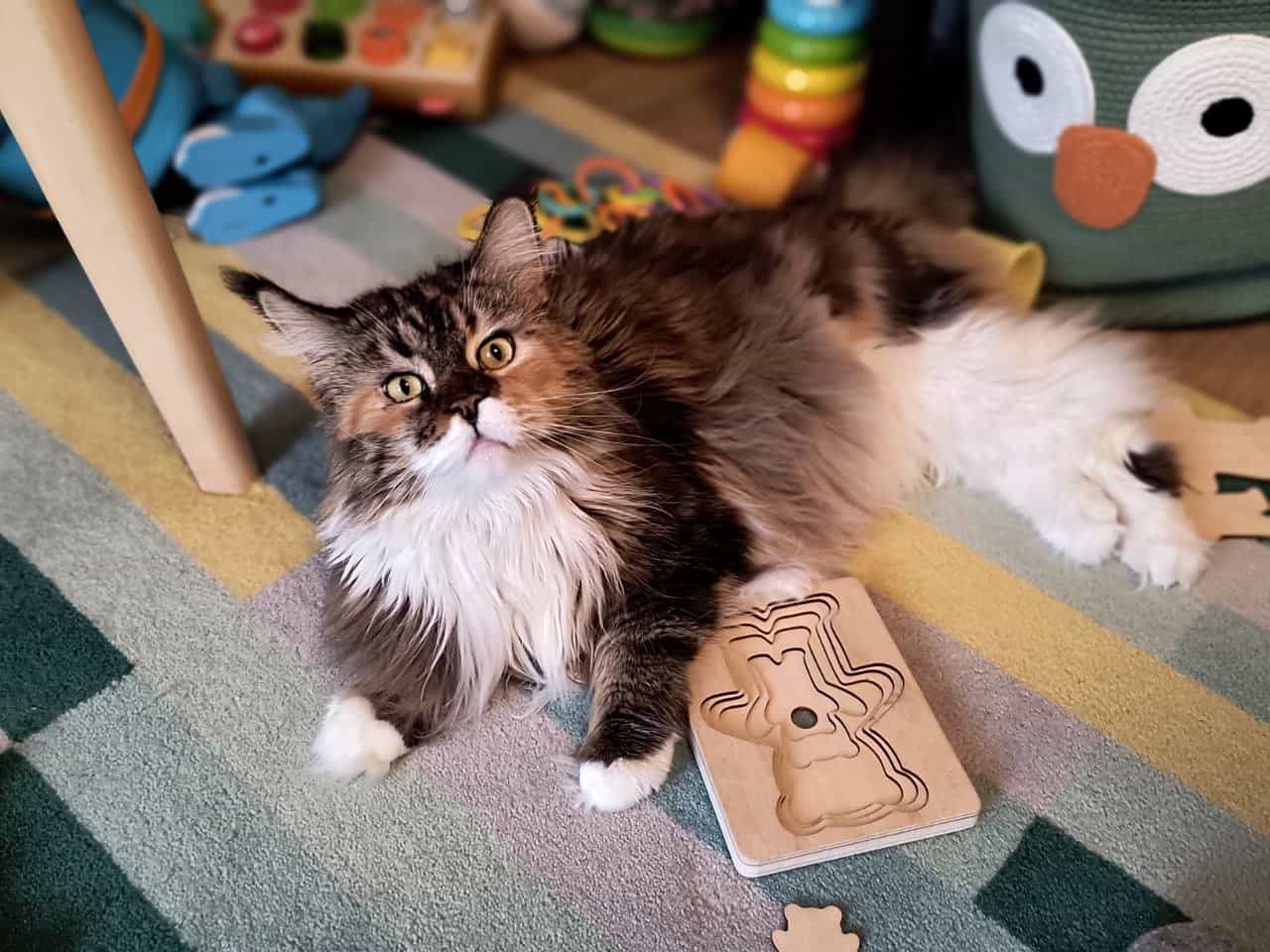 Guten Morgen Wilma Guten Morgen Wilma