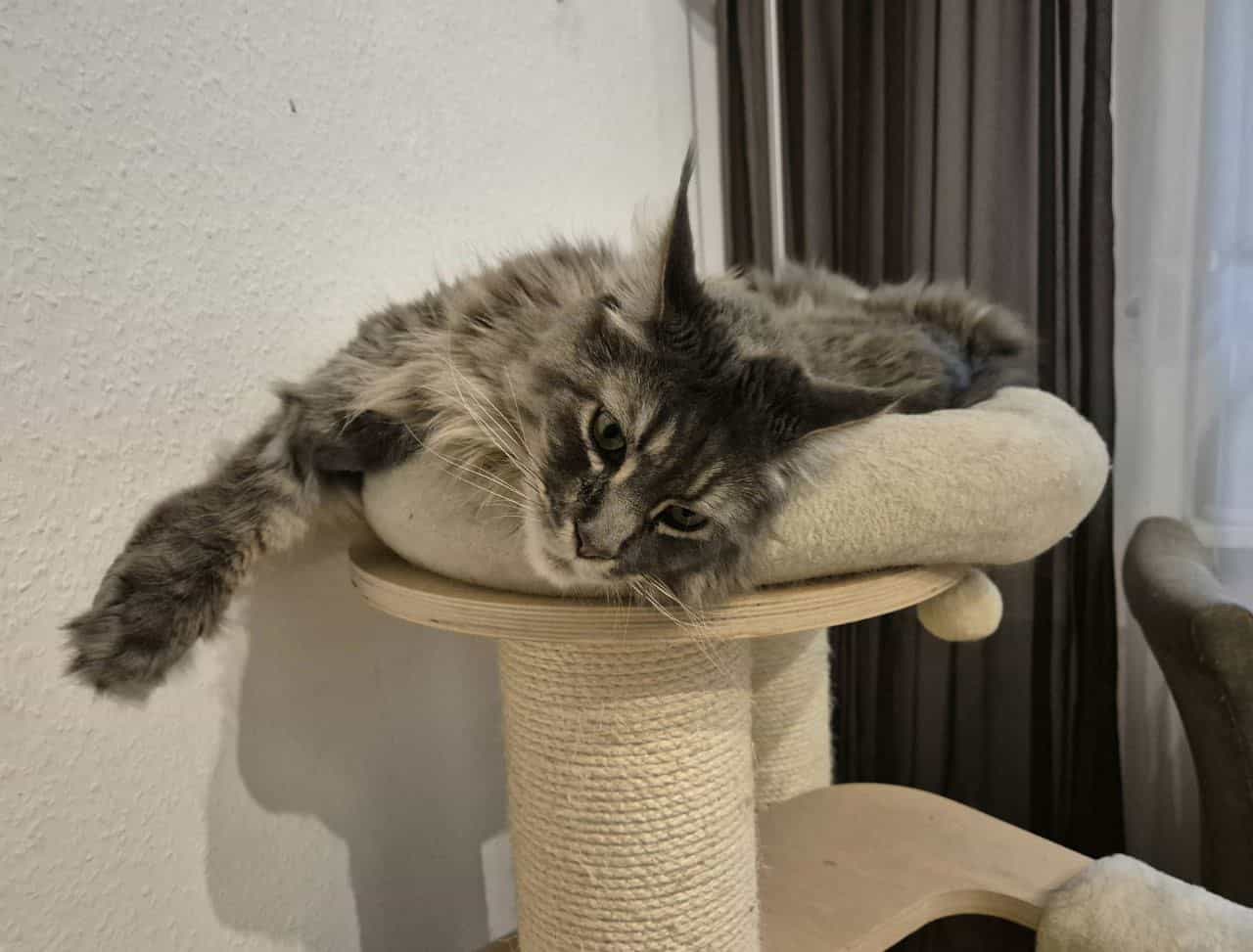 Hanka wünscht auch ein relaxtes Wochenende Hanka wünscht auch ein relaxtes Wochenende