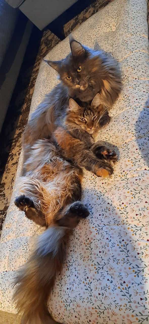 Ivette im Mama Kind Kuschel Modus Ivette im Mama Kind Kuschel Modus