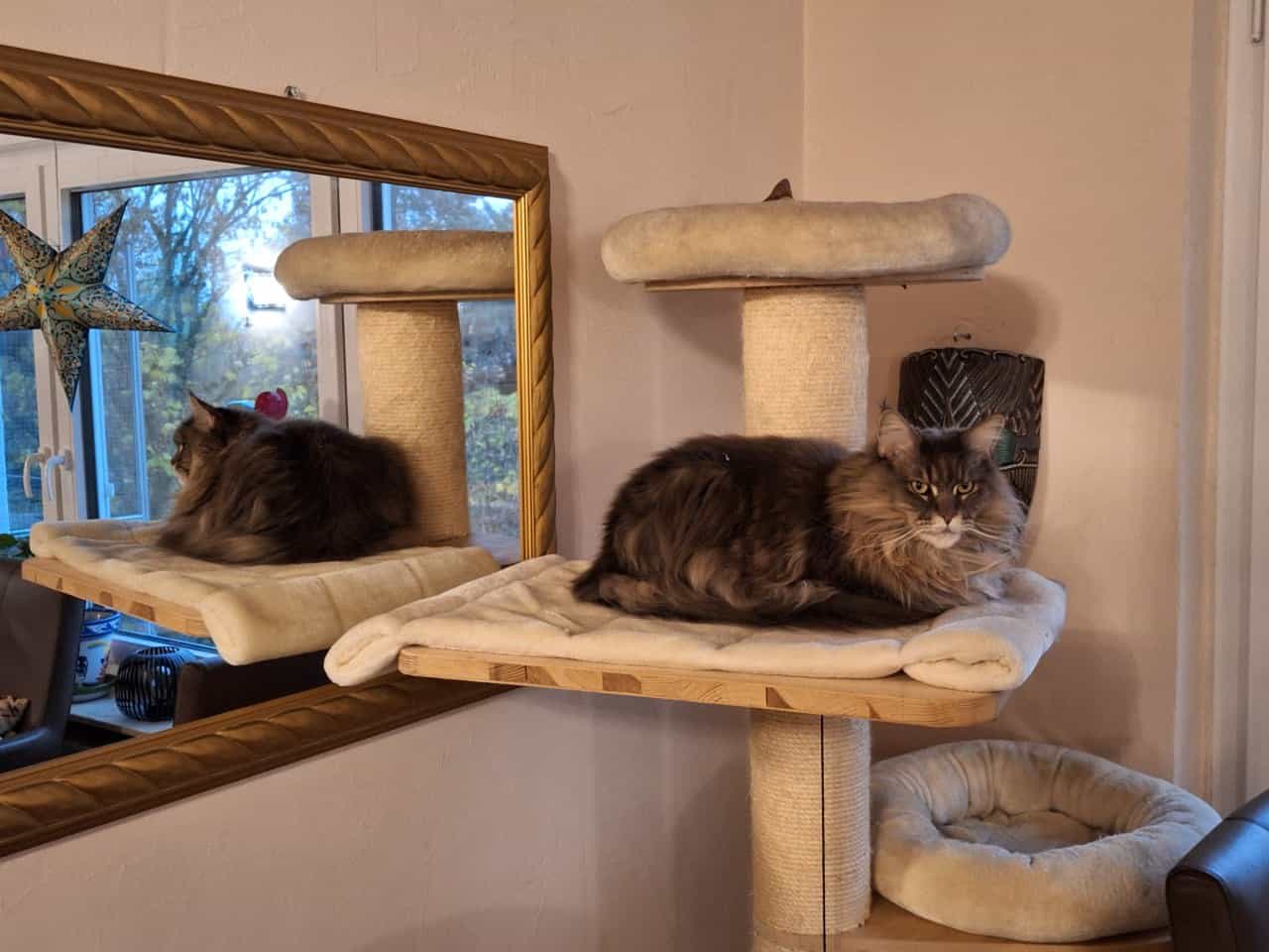 Jada of MCC wünscht einen guten Start in die kommende Woche Jada of MCC wünscht einen guten Start in die kommende Woche