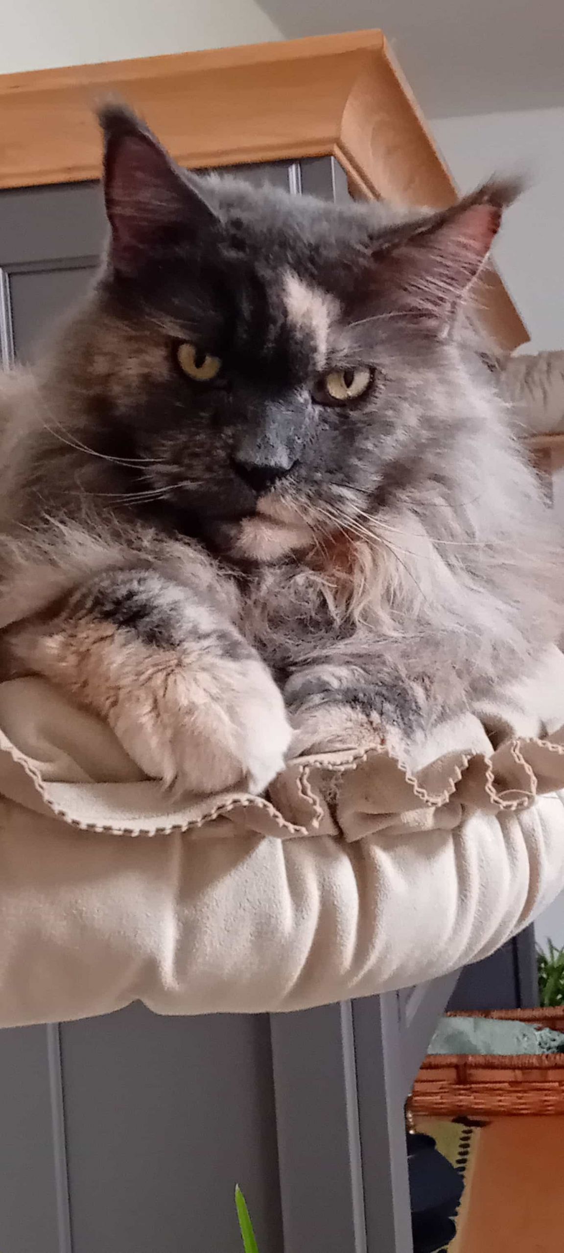 Joko 9 Jahre alt Joko 9 Jahre alt