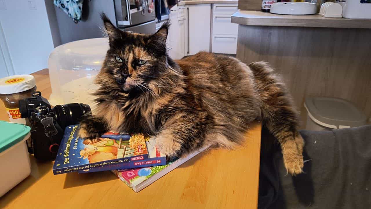 Jutta hat den vollen Überblick Jutta hat den vollen Überblick