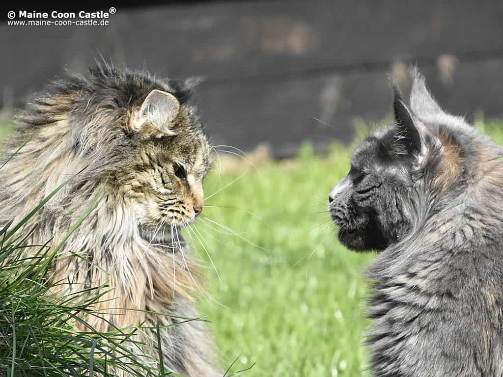 Mary und Hana Mary und Hana
