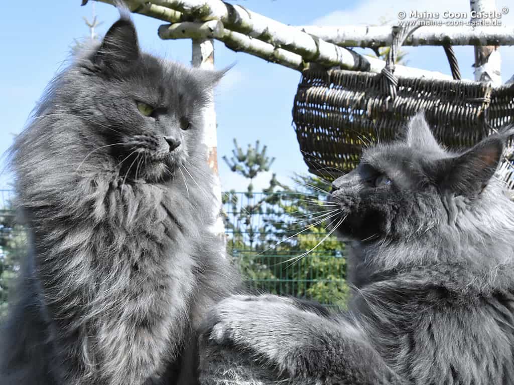 Nicky und Walther Nicky und Walther