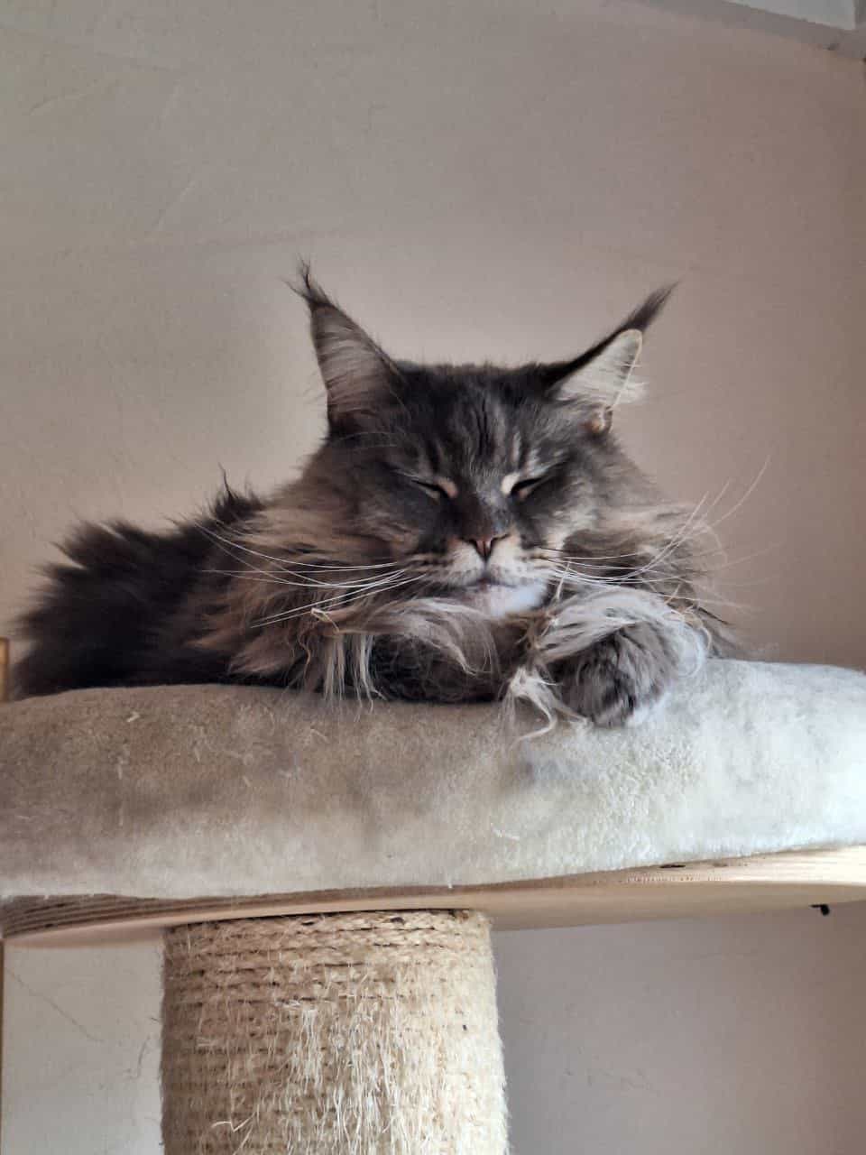 Queen Jada of MCC Queen Jada of MCC