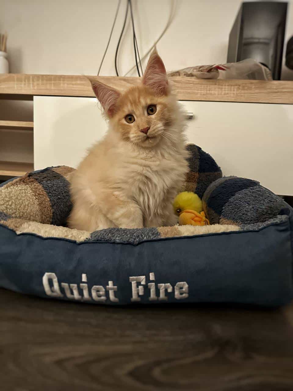 Quiet Fire Quiet Fire