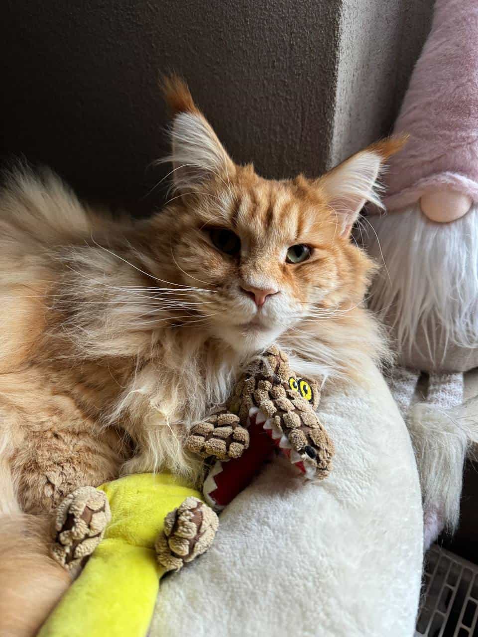 Unser Adam wünscht allen einen schönen Abend Unser Adam wünscht allen einen schönen Abend