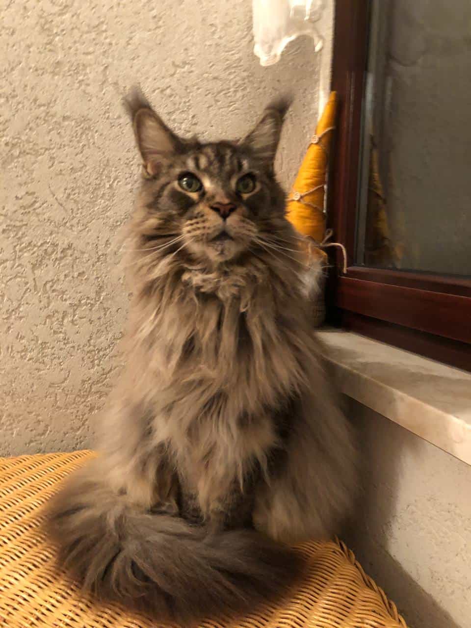 Unser Kurt wünscht allen einen schönen Sonntag Unser Kurt wünscht allen einen schönen Sonntag