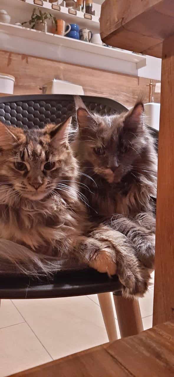 Ushi mit Mama Ivette Ushi mit Mama Ivette