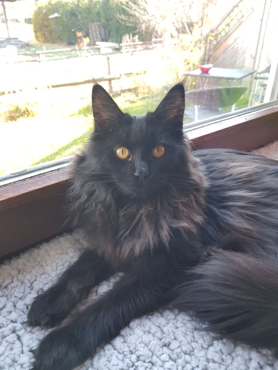 Ute of MCC Ute of MCC