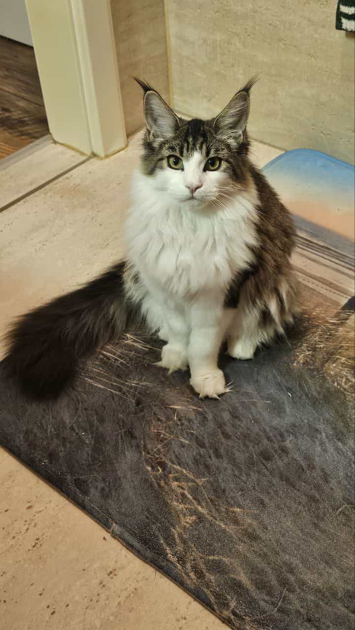 Winni Besuch im Bad Winni Besuch im Bad