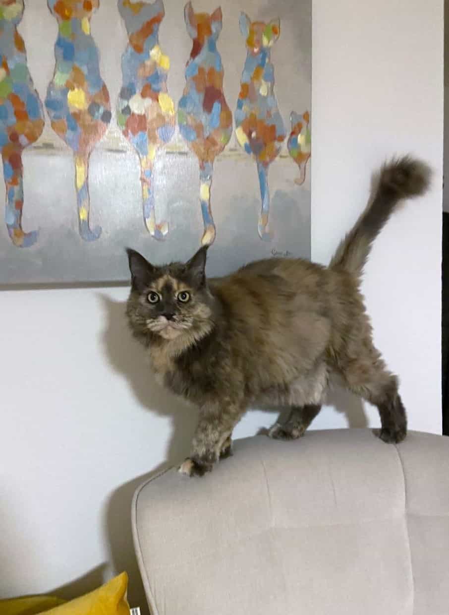 Zoey wünscht auch ein schönes Wochenende Zoey wünscht auch ein schönes Wochenende