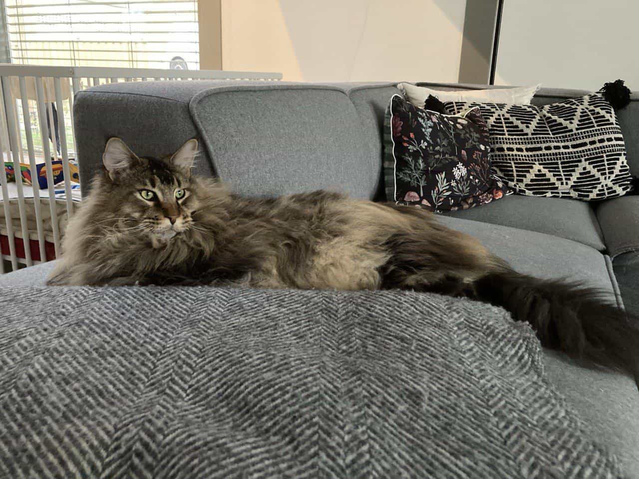 entspannter Nick entspannter Nick