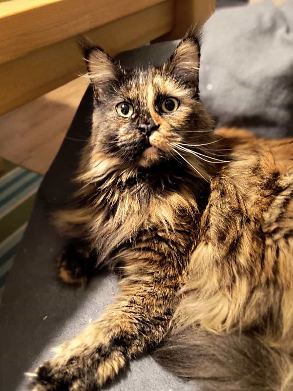 traumhafte Jutta traumhafte Jutta