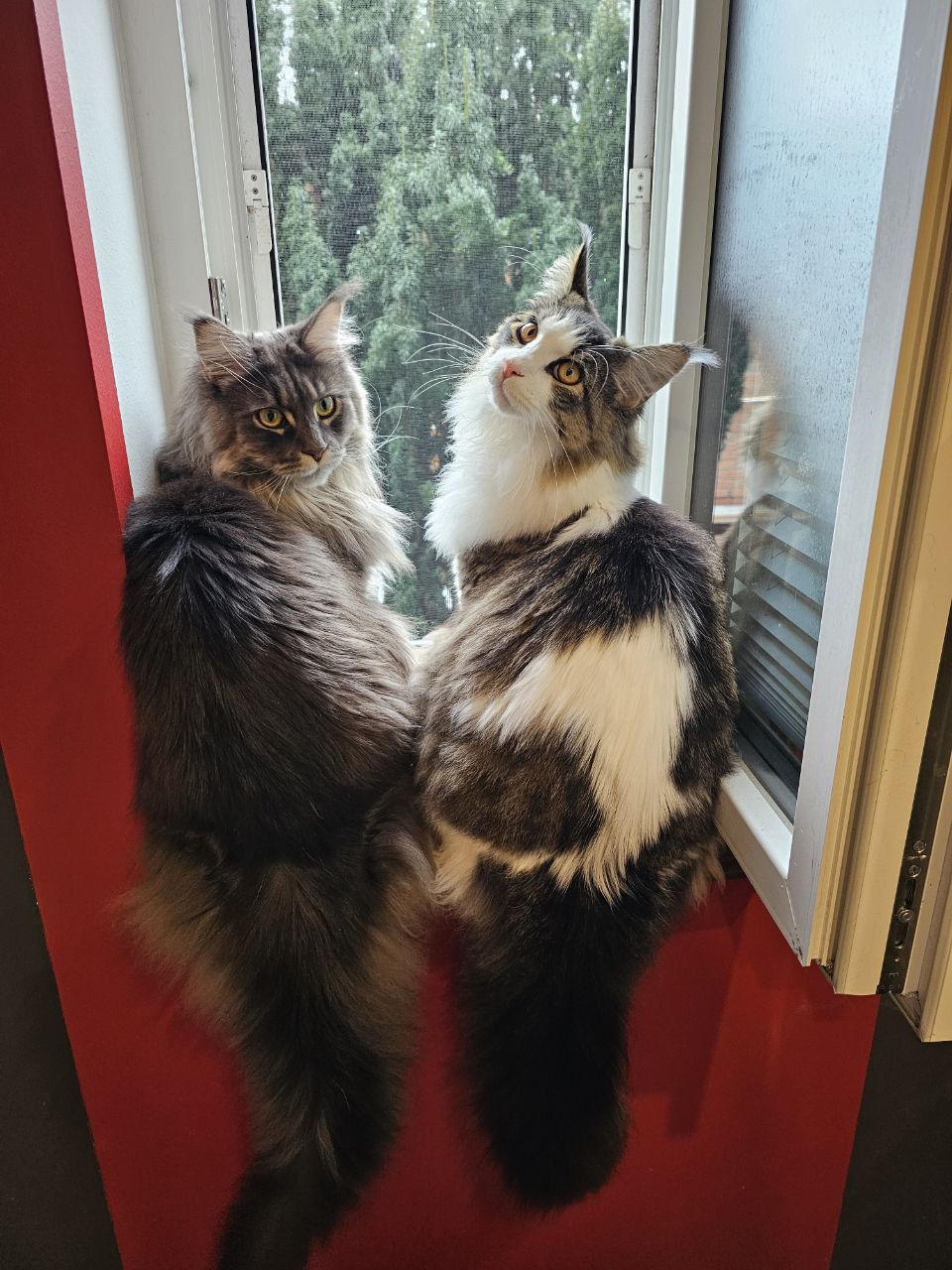 Beste Grüße von Hilde und Peter aus Schleswig Holstein Beste Grüße von Hilde und Peter aus Schleswig Holstein