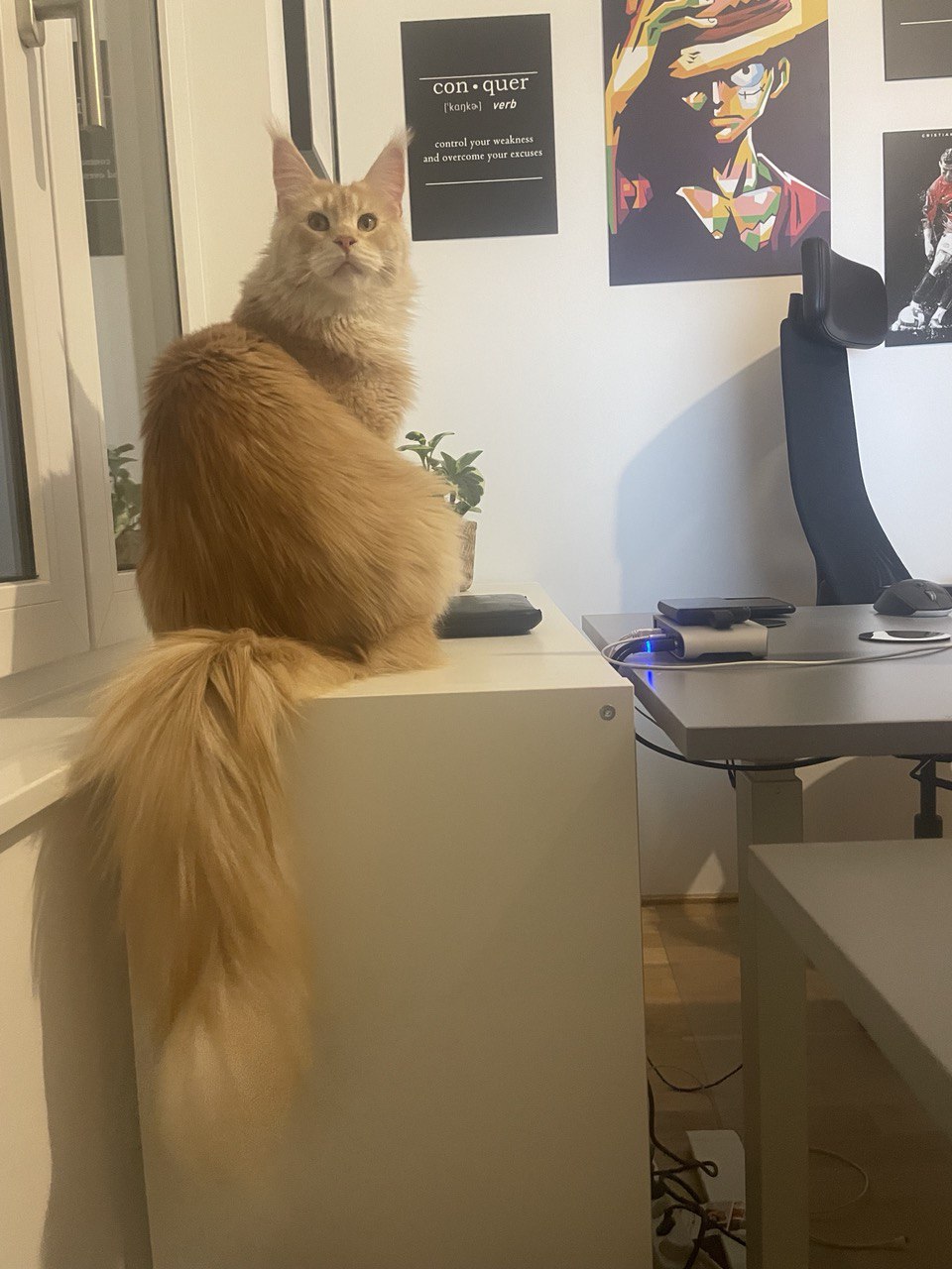 Diese Größe fasziniert mich immer wieder aufs Neue Diese Größe fasziniert mich immer wieder aufs Neue