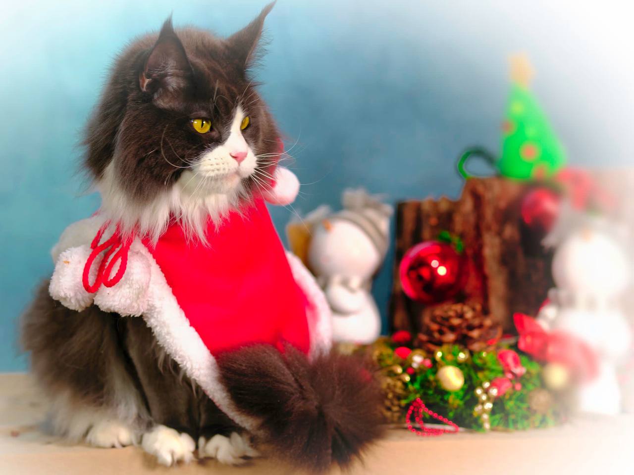 Fleur als Weihnachtsfee Fleur als Weihnachtsfee