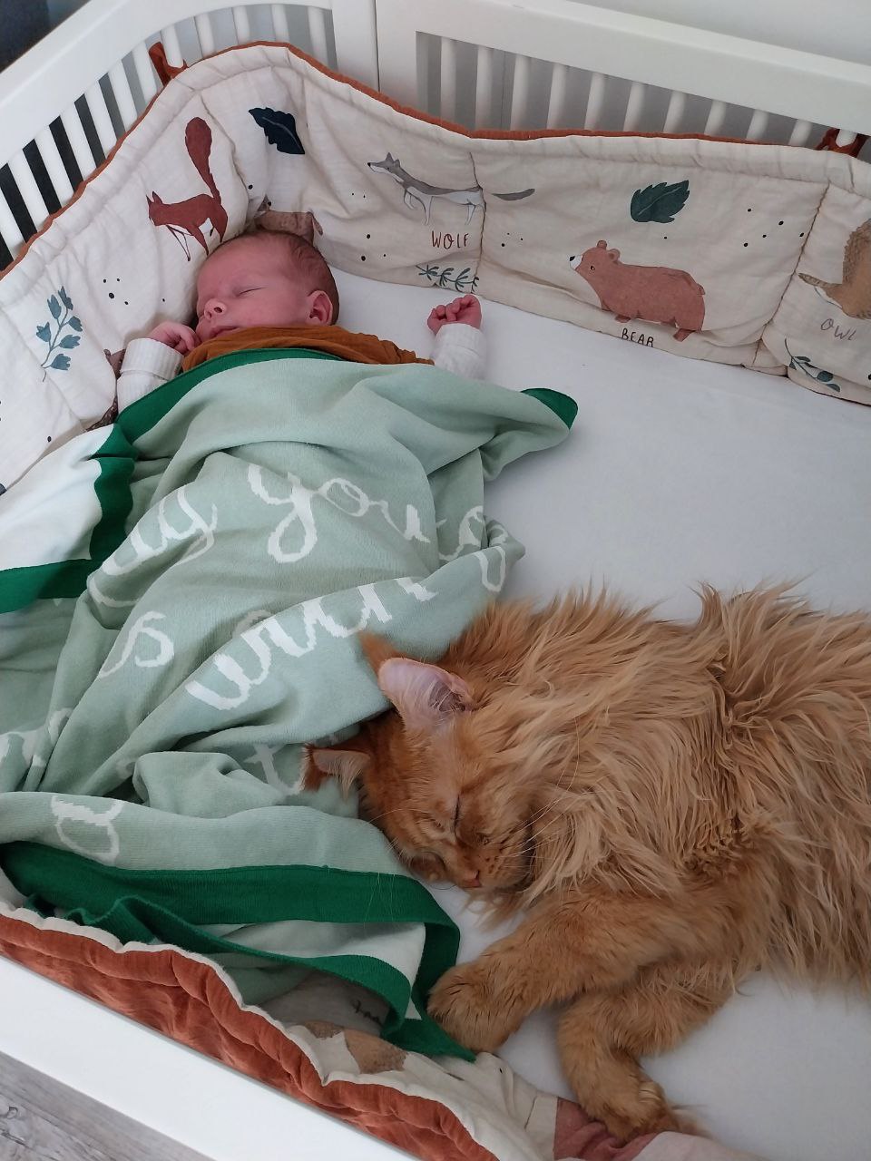 Freunde Alexander und Dave Freunde Alexander und Dave