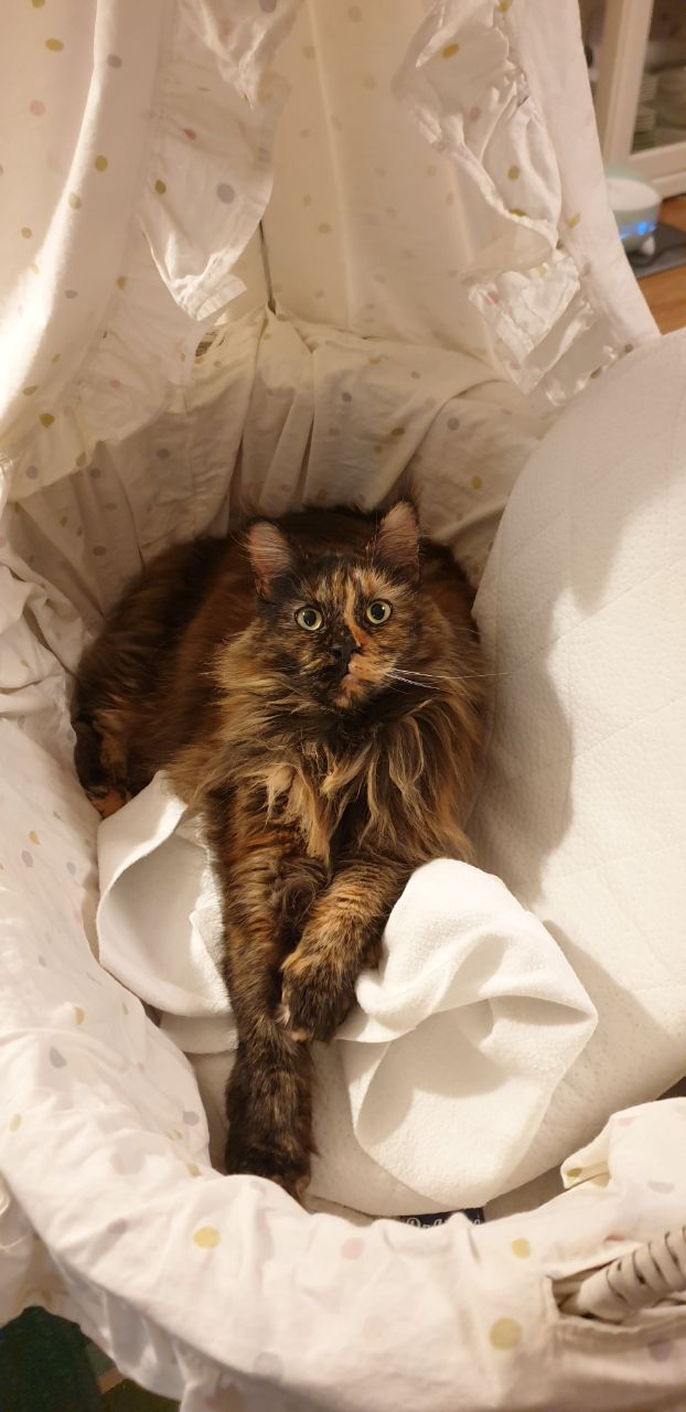 Jutta, dieser freche Ninja Jutta, dieser freche Ninja