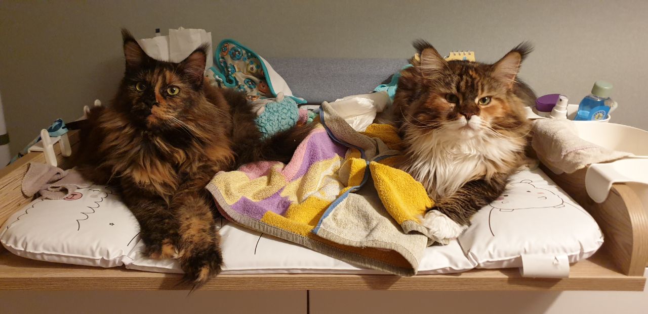 Jutta und Mama Wilma Jutta und Mama Wilma