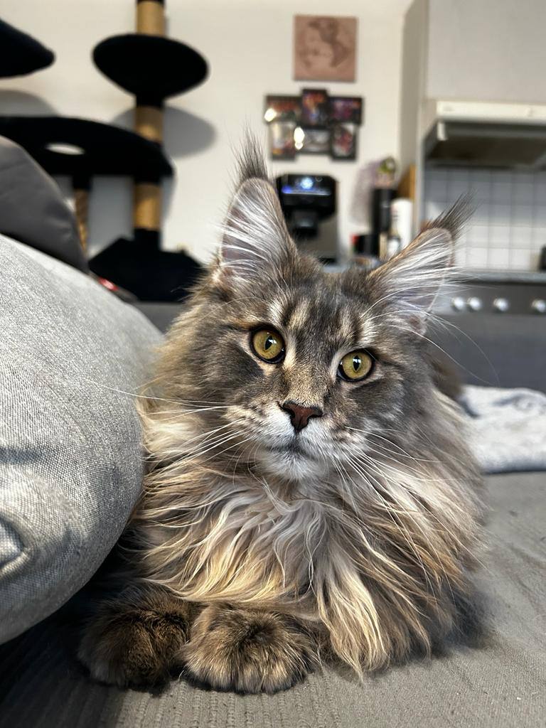 Noby entwickelt sich prächtig Noby entwickelt sich prächtig