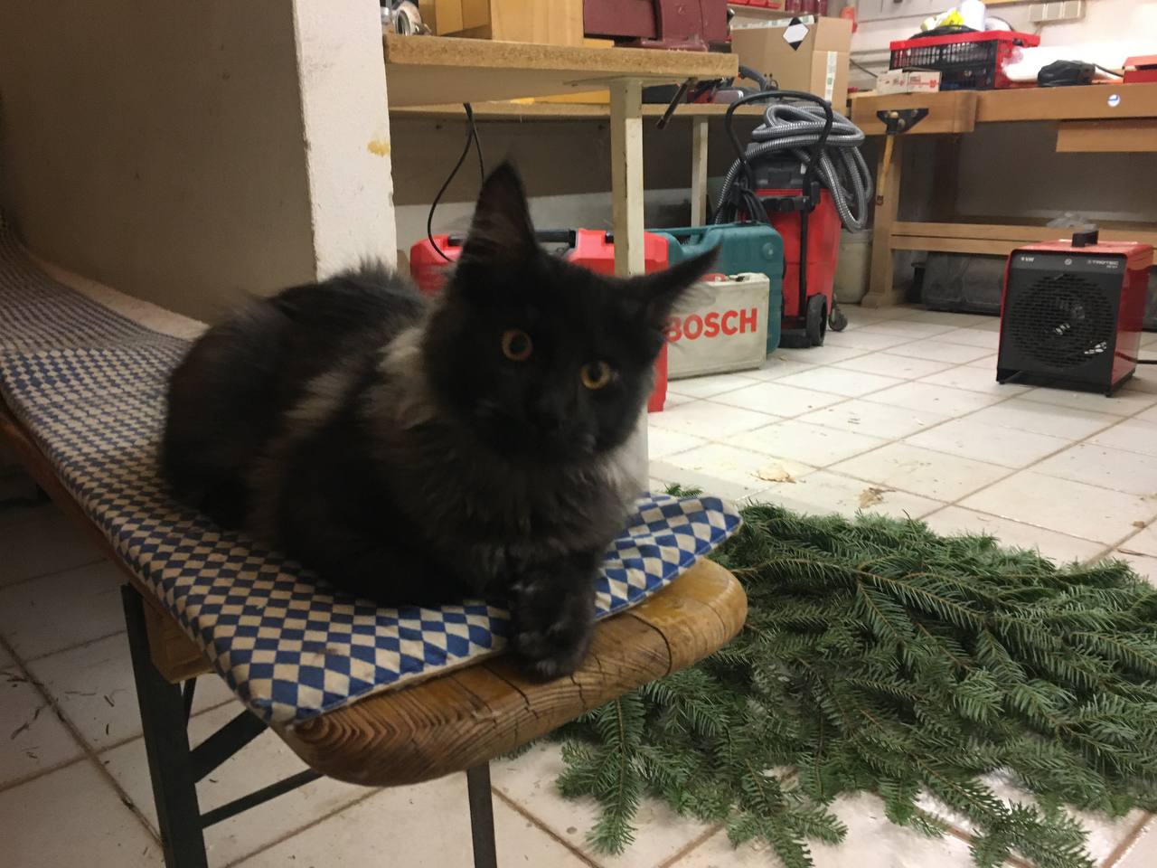 Quantus beim Advenskranz binden Quantus beim Advenskranz binden