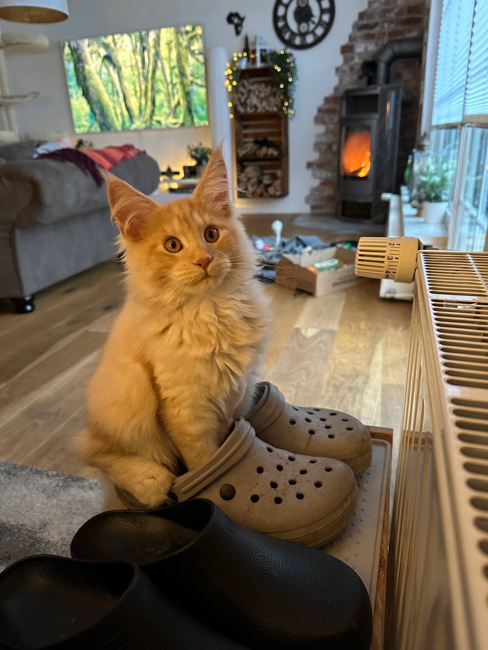 Quiet Fire Quiet Fire