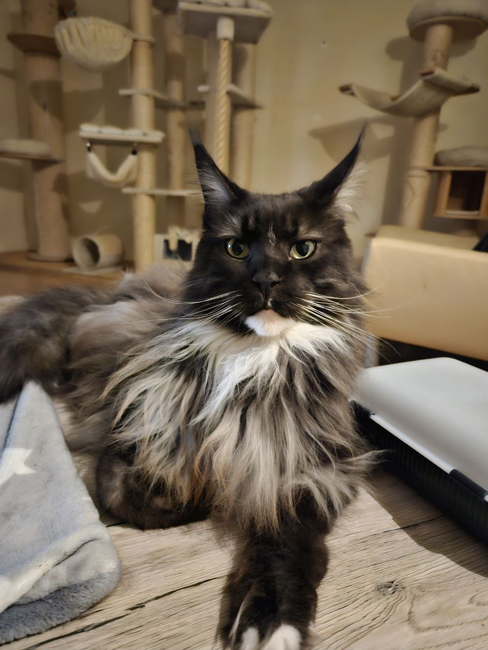 Quinton 6 Jahre alt Quinton 6 Jahre alt