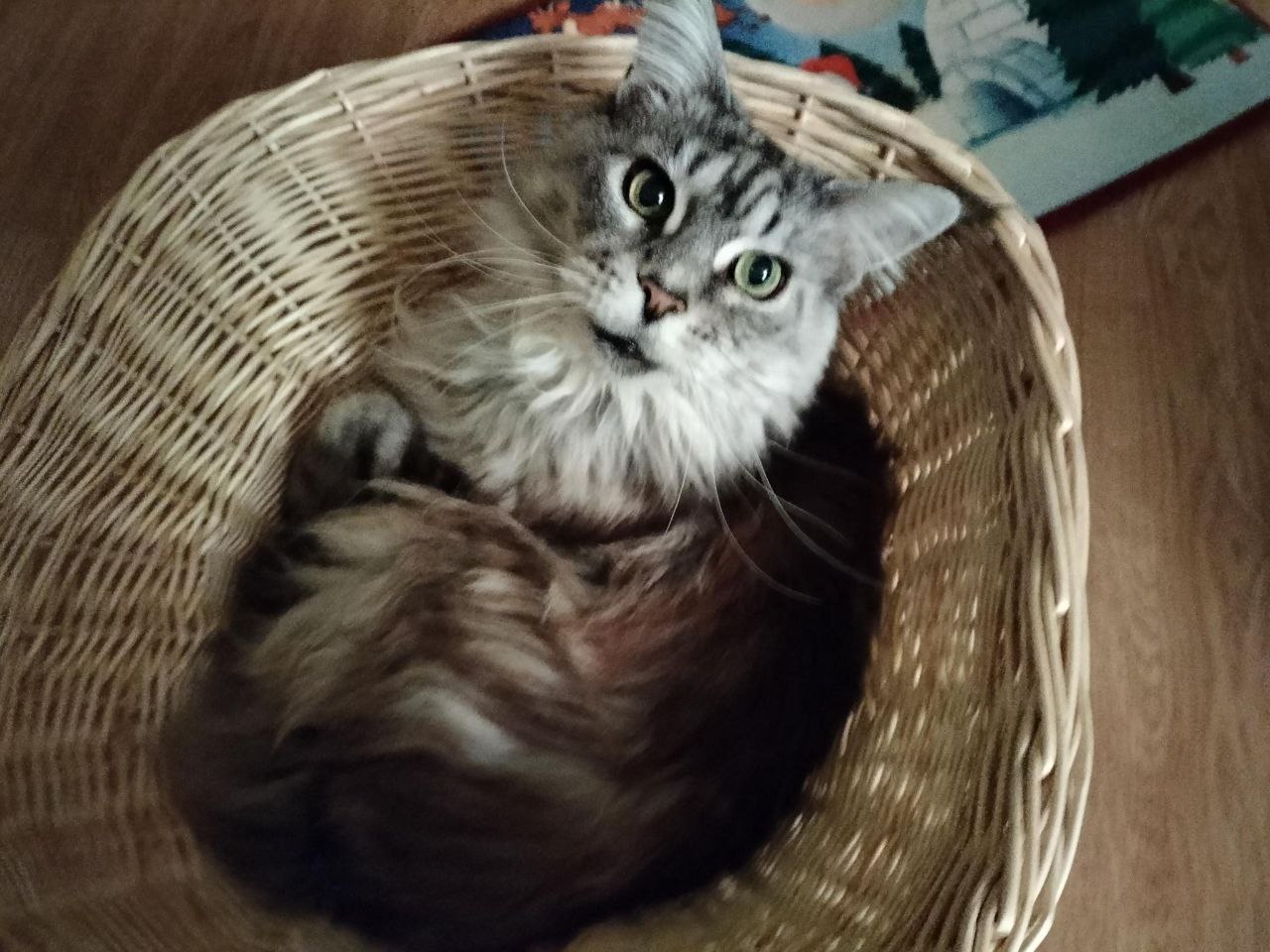 Schneekönigin Badriya Schneekönigin Badriya