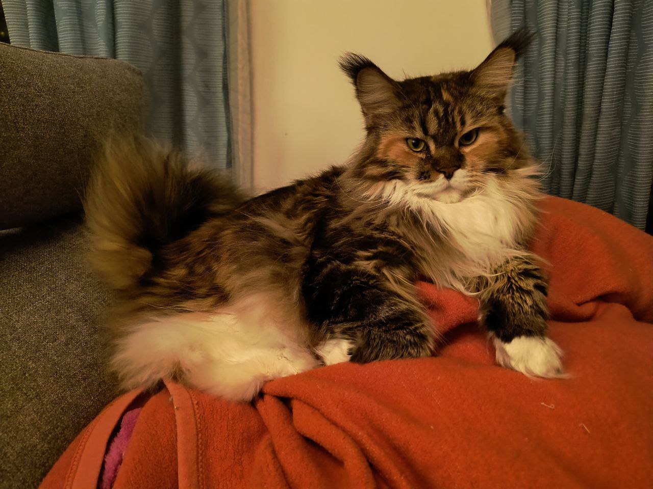 Wilma hat uns im Blick Wilma hat uns im Blick