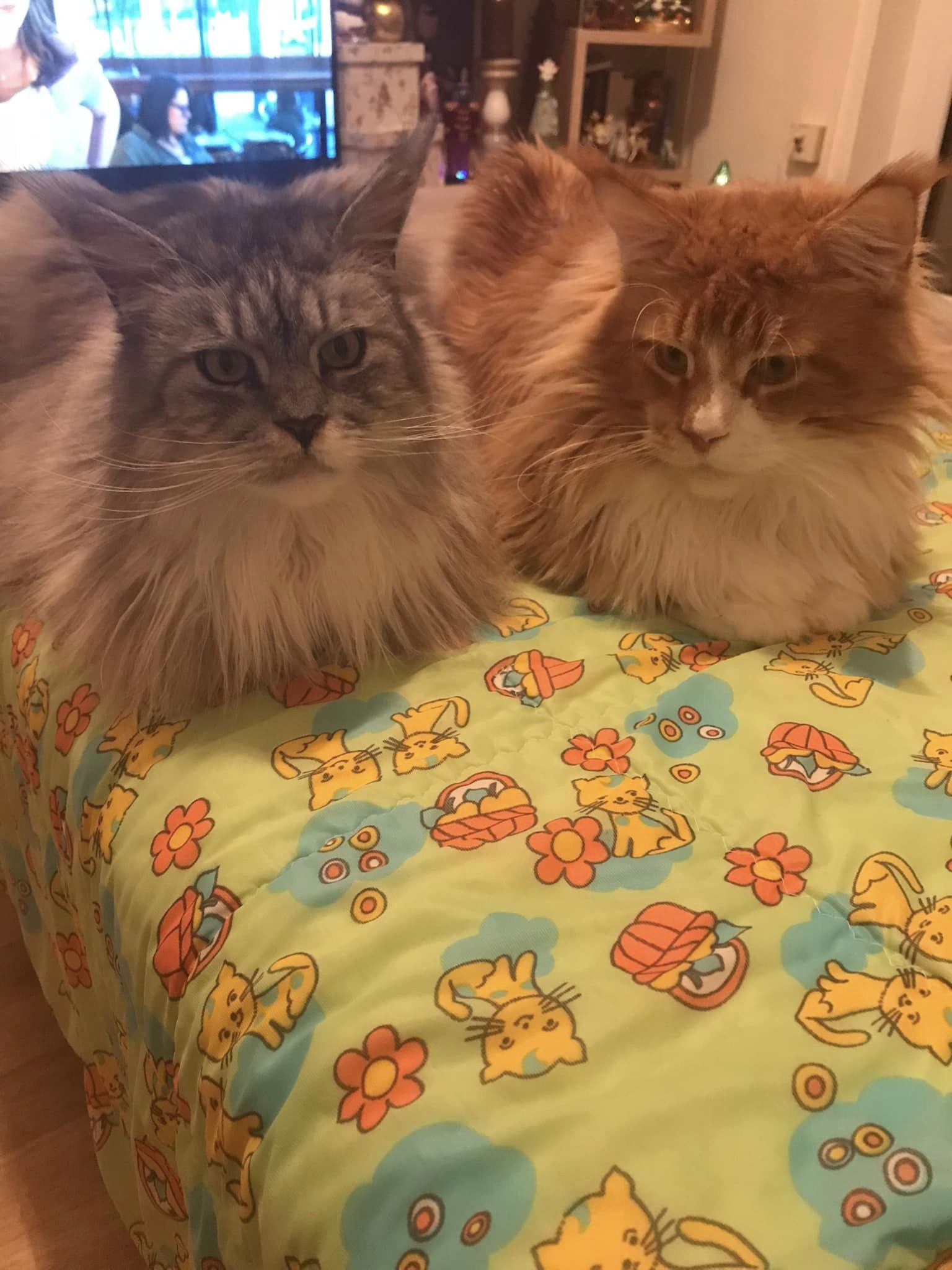 Wotan und Fanny Wotan und Fanny